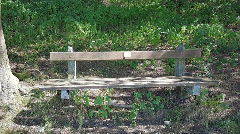 Bei diesem Bankerl am Waldrand rasten oder rechts rauf in den Wald