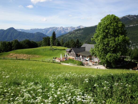 Hoisenrad (969m)