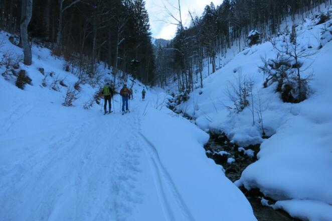 Forststraße zur Fuchsalm