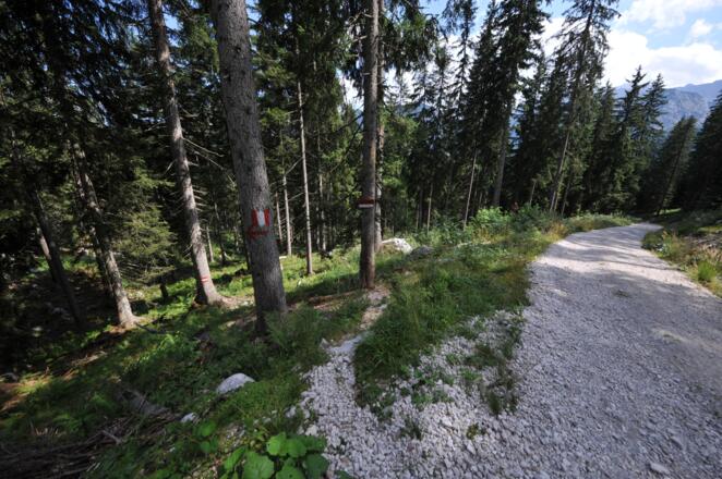 Links zweigt bald wieder ein Weg ab.