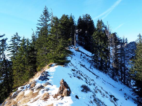Schlussgrat mit Vorgipfel um 1440m