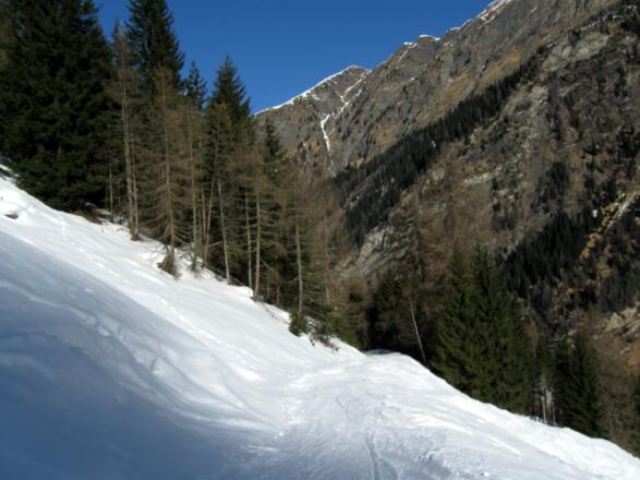 Man erreicht die Forststraße zur Bloaderalm und folgt dieser bis zur Alm.