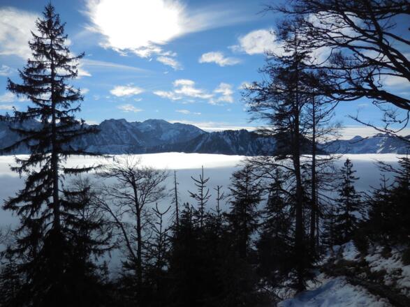Der Schönberg im Wechsel von Licht und Schatten