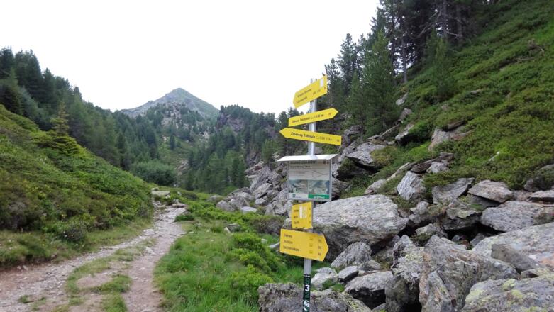 Weiter auf dem Zirbenweg Richtung Viggarspitze.