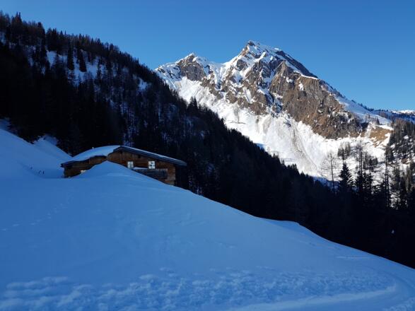 Freischaufler gesucht