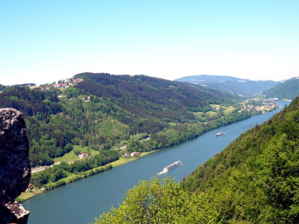 Donaublick nach Waldneukirchen und Wesenufer