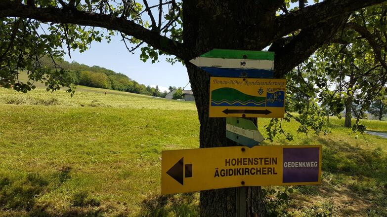 Beschilderungsvielfalt kurz vor dem  Güterweg Gröbetsweg!