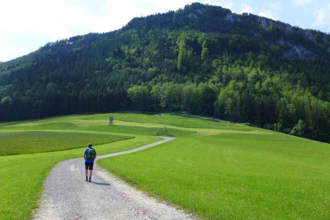 Blick vom Ausgangspunkt zum Gipfelbereich der  Hohen Dirn