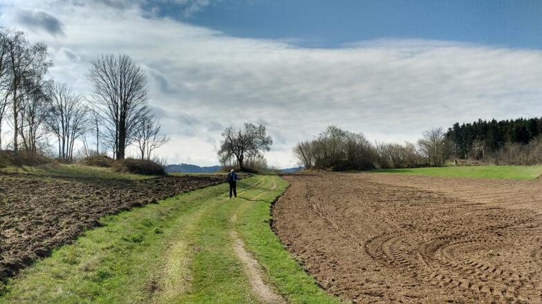 Wunderbare Wege...