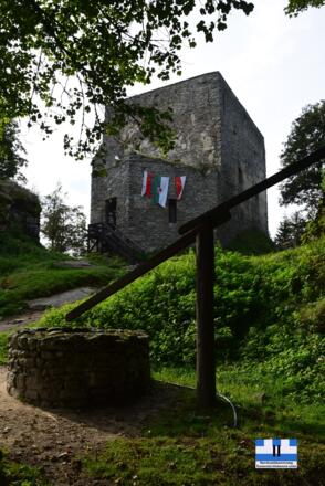 Ruine Wittinghausen / Vítkův kámen