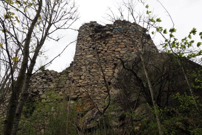 Ruine Lichtenhag ~490m