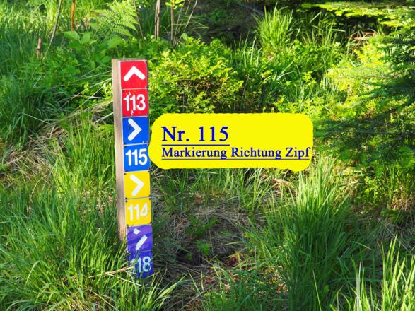 Ausgezeichnete Markierung auf der gesamten Strecke.