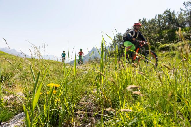 Mit dem Mountainbike unterwegs am Sonnenkopf