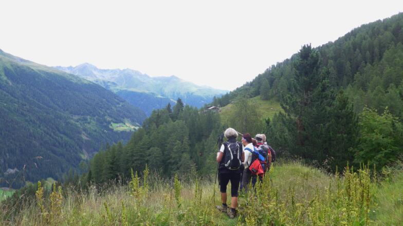 Auf dem Weg zur Blindisalm, in der Bildmitte schon sichtbar
