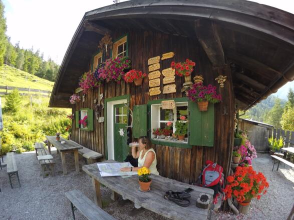 Auf der Scharnitzer Alm