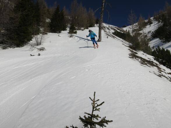 Ein Graben zieht vom Sailenieder hinunter zur Isse. Knapp links und rechts davon finden wir unsere Abfahrtslinie.