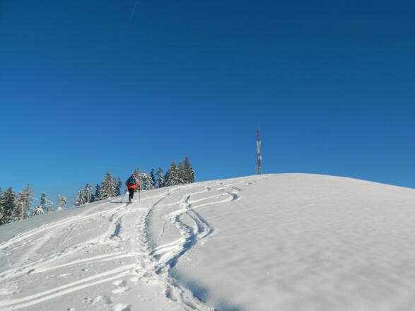 knapp unterm Briefberg-Gipfel