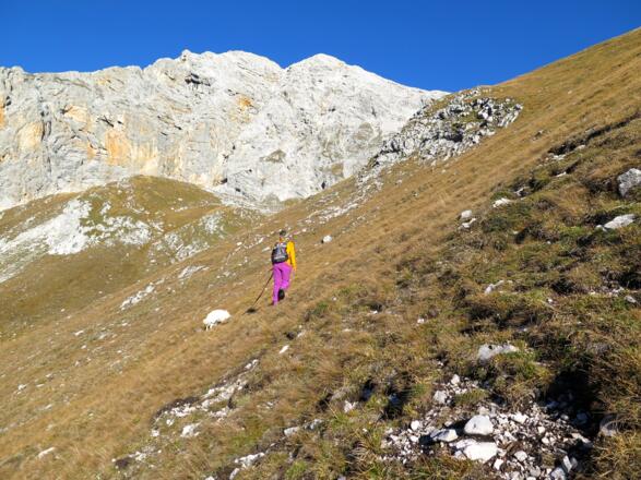 im Praxmarerkar angelangt