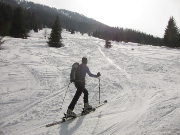 Über die Almwiesen im ehemaligen Skigebiet