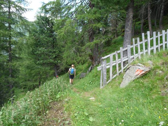 Für den Abstieg in Richtung Volderau muss der Steig direkt hinter der Bachwandalm gewählt werden.