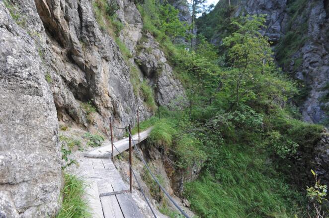 An manchen Stellen wurden Holzstege errichtet