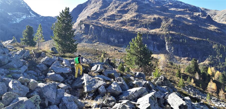 Durch Block- und Wiesengelände ...
