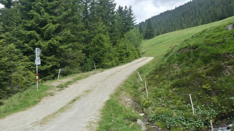 SCHON WIEDER EIN WEIDEZAUN ÜBER DIE STRASSE GESPANNT!! Aufpassen beim runterfahren!!