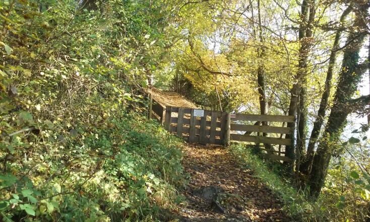 1. Gatter / 1st gate