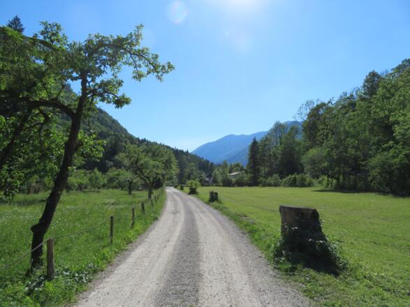 Kurz vor Rindbach