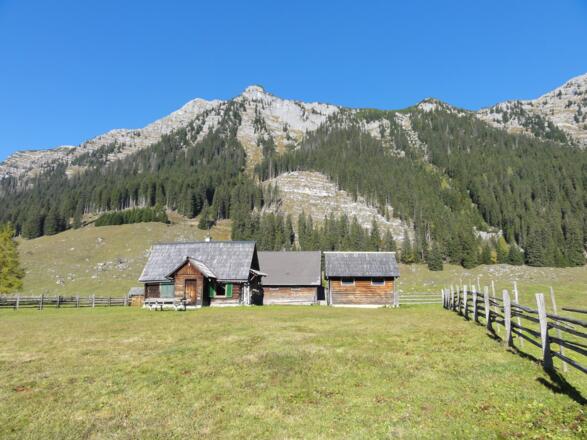 Hintereggeralm mit Nazogel