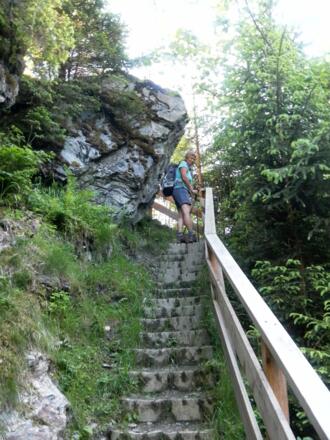 Rückweg zum Waldwanderweg