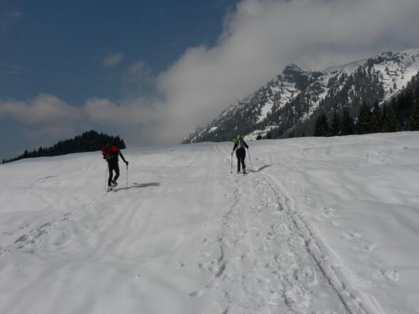 ... und gelangen in freies Almgelände