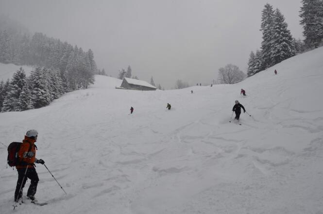 Abfahrt von der Ranzenbergalpe (981m)