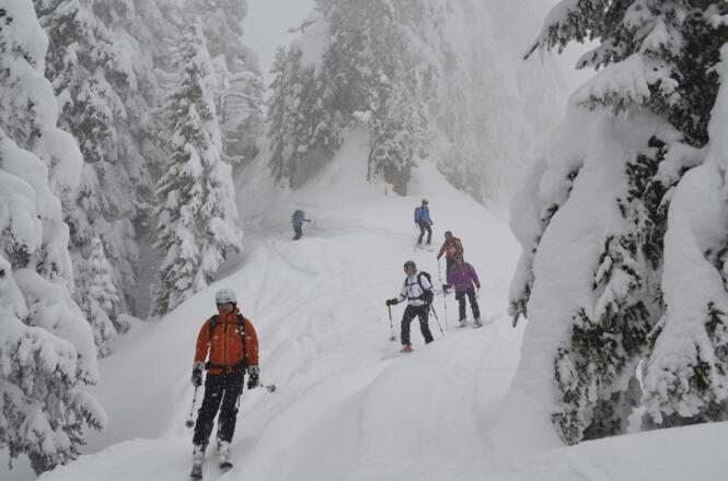Abfahrt zur Hinterbergalpe (1379m)