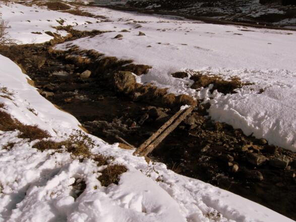 Als erstes gilt es den Bach zu überqueren. Dies geschieht über diese zwei abenteuerlich anmutenden Baumstämme. Achtung die Stämme sind nicht fixiert sondern liegen nur locker auf. Vorsicht ist bei der Überquerung geboten.