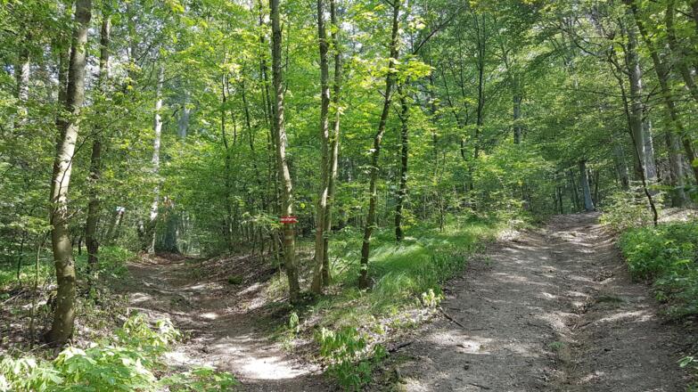 Bei der nächsten Gabelung links halten