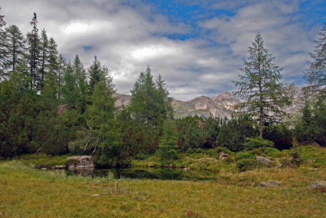 Naturschutzgebiet Mösli
