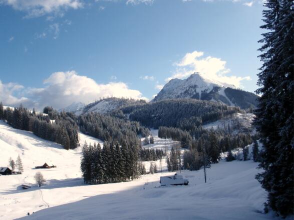 Hintersteiner Almen 1020m