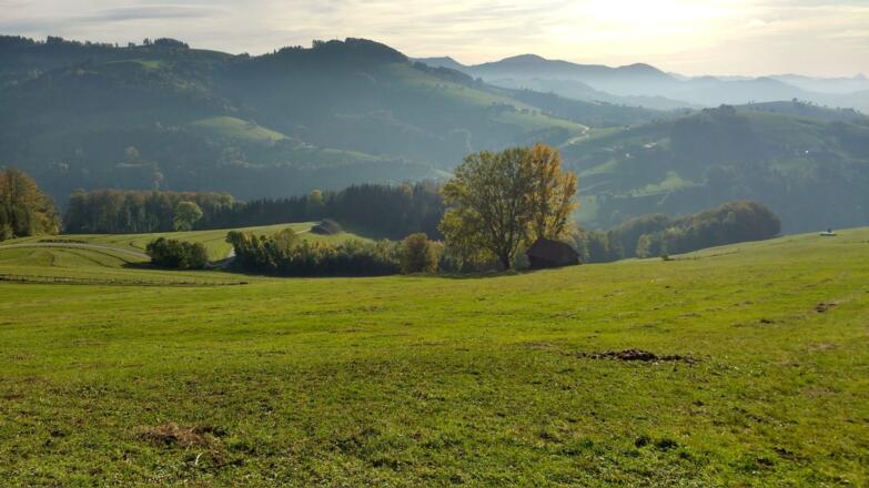 Wegverlauf über die Weiden hinunter nach Dambach