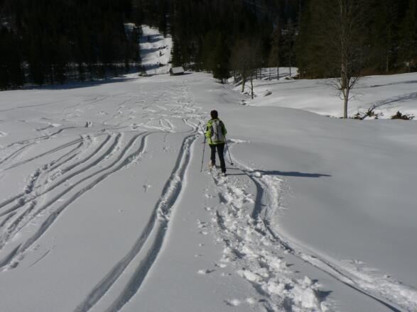 ... dann über die sanften Hänge zu den Häusern von Leopolden