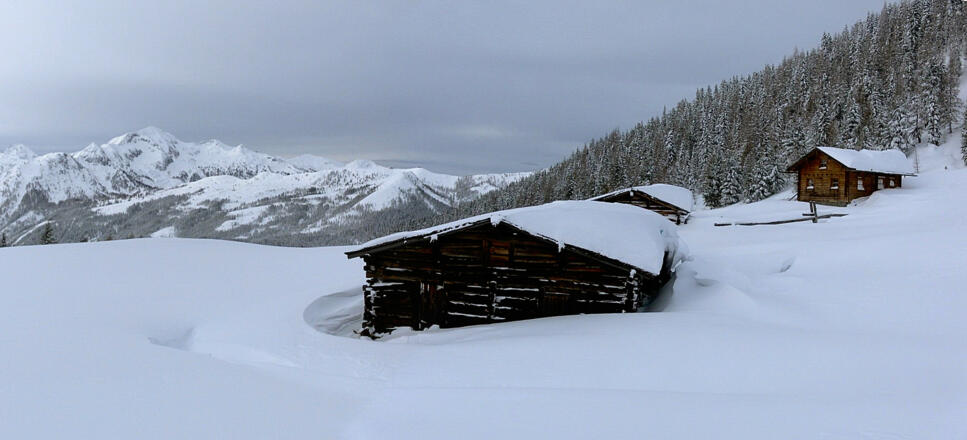 Hauskoppenalm