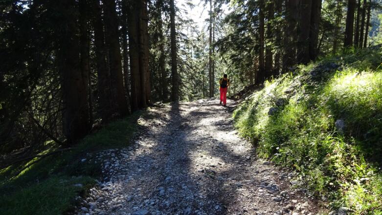 Der gesamte Hüttenzustieg verläuft auf ...