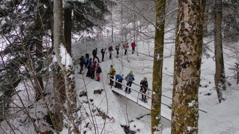 Im Wald immer auf den Steigen und Forstwegen bleiben (Forstschutz)