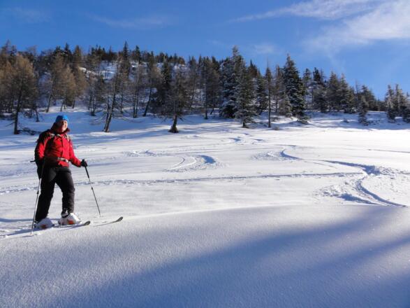 Abfahrt über freie Wiesen unter dem Gifpelhang