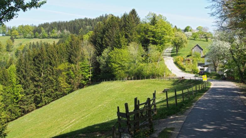 Rumplhöhe, hier zweigt der "Hufeisen-Rundweg" (auch das "Kleine Hufeisen" genannt) von links ein.
