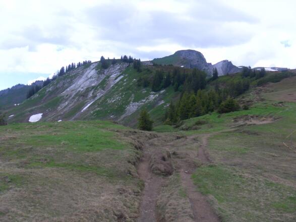 am Rücken zur mittigen Matona