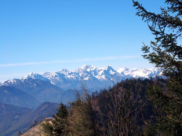 Blick vom Hochbuchberg zum Prielkamm