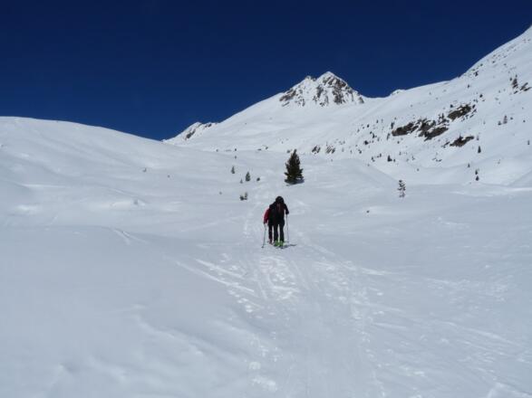 Unterhalb der Finstertalalm beginnt ein wunderschönes waldfreies Skigelände.