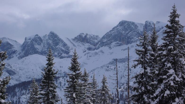 Blick vom Gipfel auf die Nordabstürze des Rofan