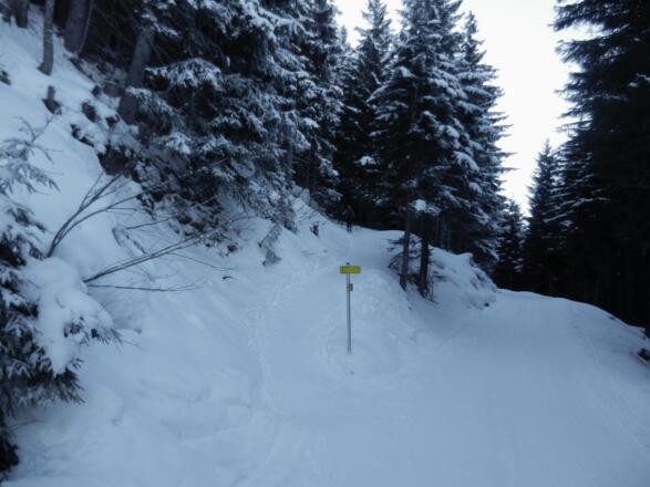 Abzweig zur Hochsinnalm